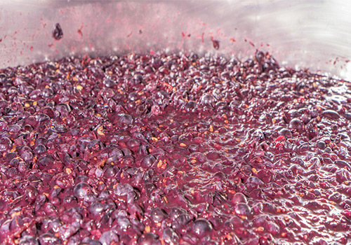 發酵消（xiāo）泡劑