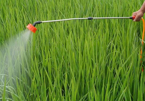 草甘膦（lìn）水劑消泡劑