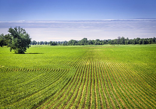 農用有機矽消泡劑